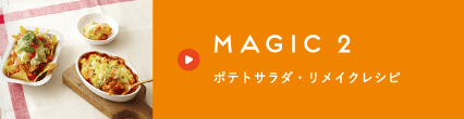 MAGIC2